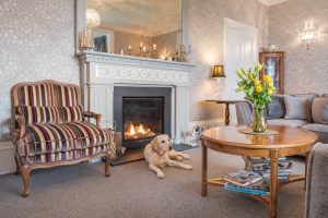 Image of a lounge with the fire lit and a Labrador relaxing in front of the fire.