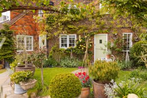 Image of the garden and front door with climbing plants